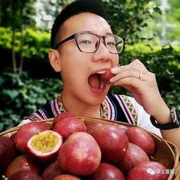 云南网红吃小瓜,解锁夏日新食趣 第1张 云南网红吃小瓜,解锁夏日新食趣 第1张